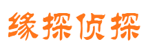 河西侦探